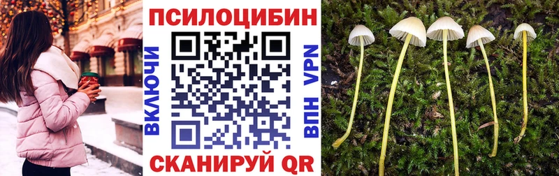 Псилоцибиновые грибы мицелий  гидра онион  Канаш 