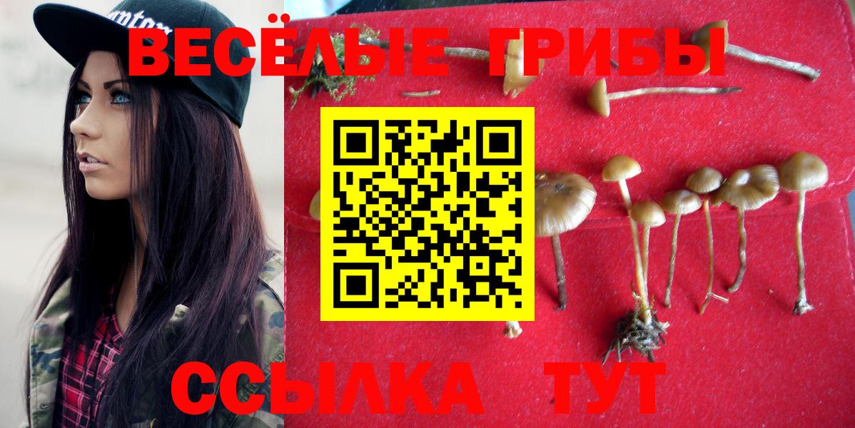 Канаш  Псилоцибиновые грибы прущие грибы  Псилоцибиновые грибы мицелий  Вход с VPN 