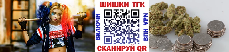 где можно купить наркотик  mega ссылки  Бошки марихуана ГИДРОПОН  Канаш 